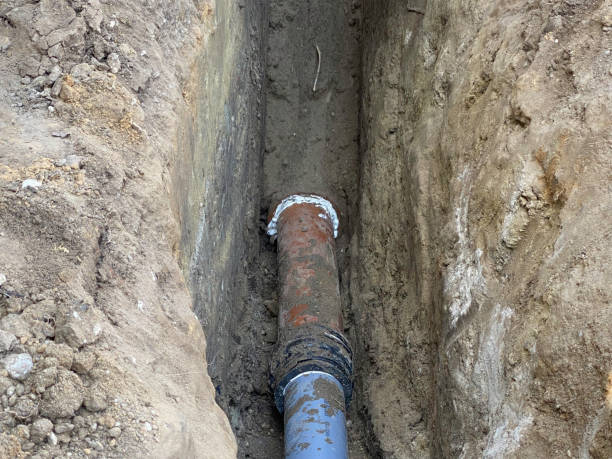Best Sewage cleanup and water damage restoration  in Bloomington, CA