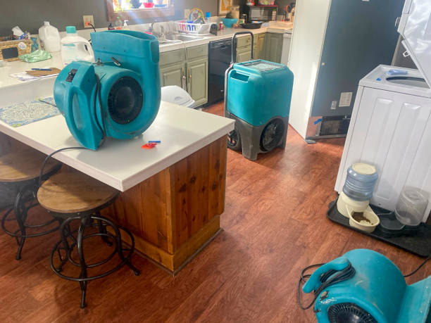 Best Flood damage cleanup  in Bloomington, CA