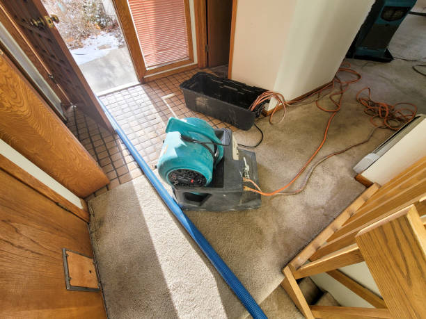 Best 24/7 water damage repair  in Bloomington, CA