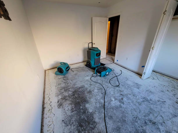 Best Flooded house restoration  in Bloomington, CA