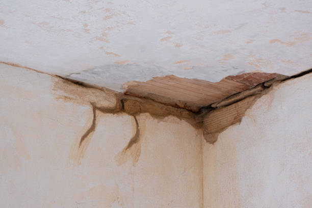 Best Professional water damage repair  in Bloomington, CA