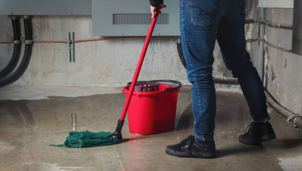 Best Flood restoration services  in Bloomington, CA