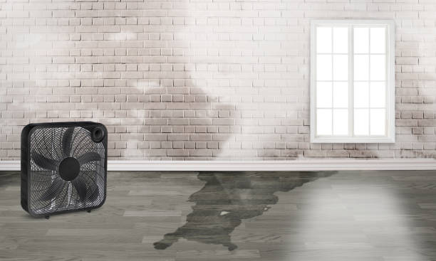 Best Basement water damage restoration  in Bloomington, CA