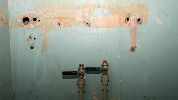 Best Basement water damage restoration  in Bloomington, CA