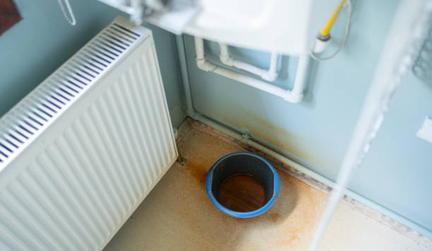 Best Water damage restoration near me  in Bloomington, CA